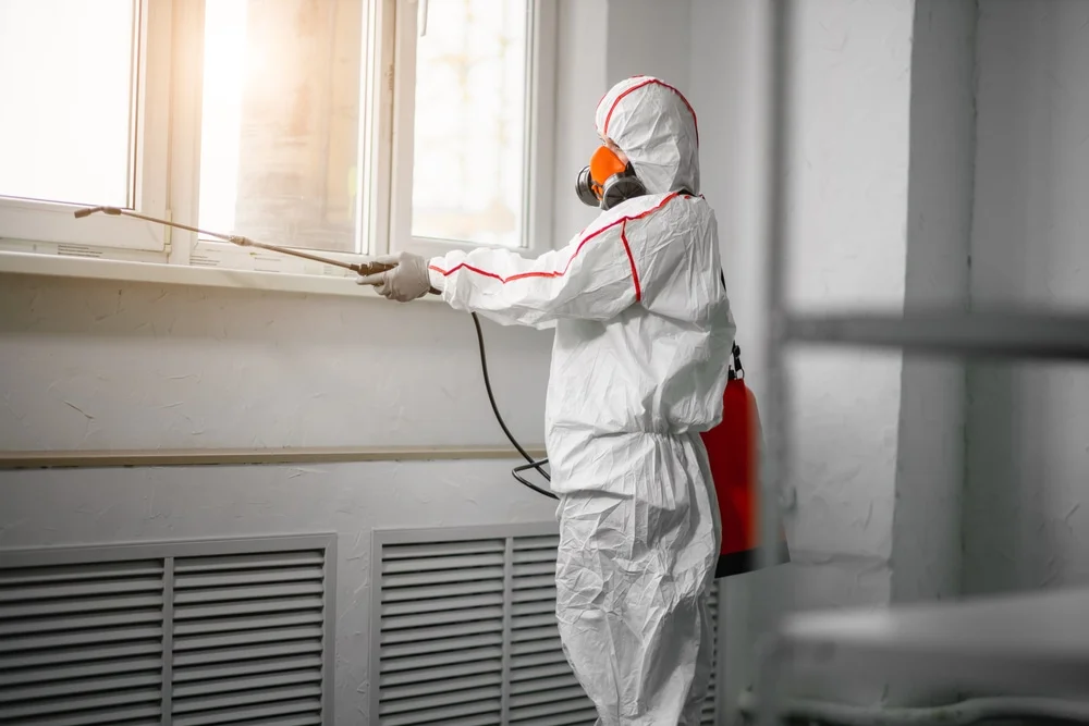 Professional mold remediation services in Purchase, NY